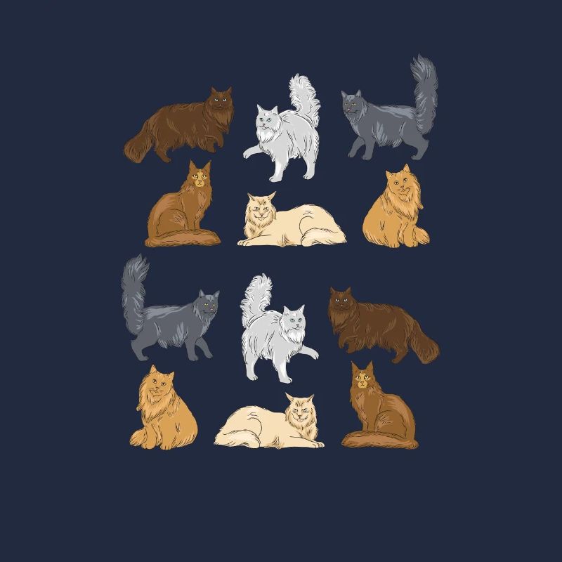 Maine Coon Chat Chat Chat