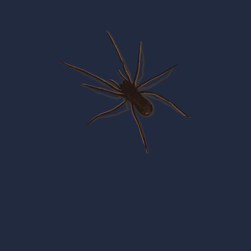 Spinne 3D