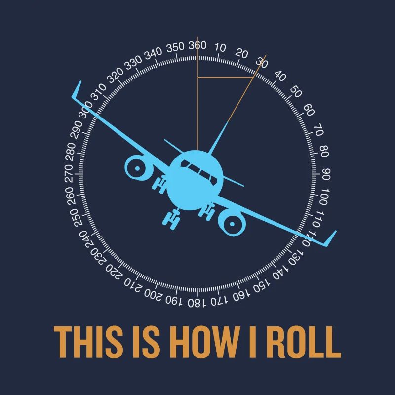 This Is How I Roll Airplane