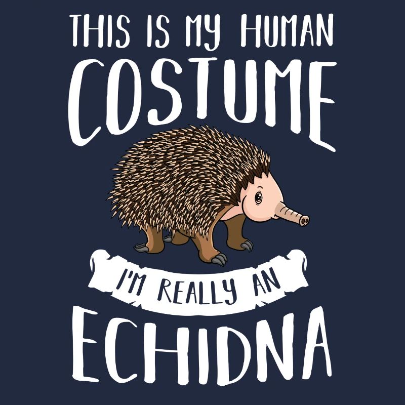 Echidna ameisenigel Schnabeligel Drôle de hérisson