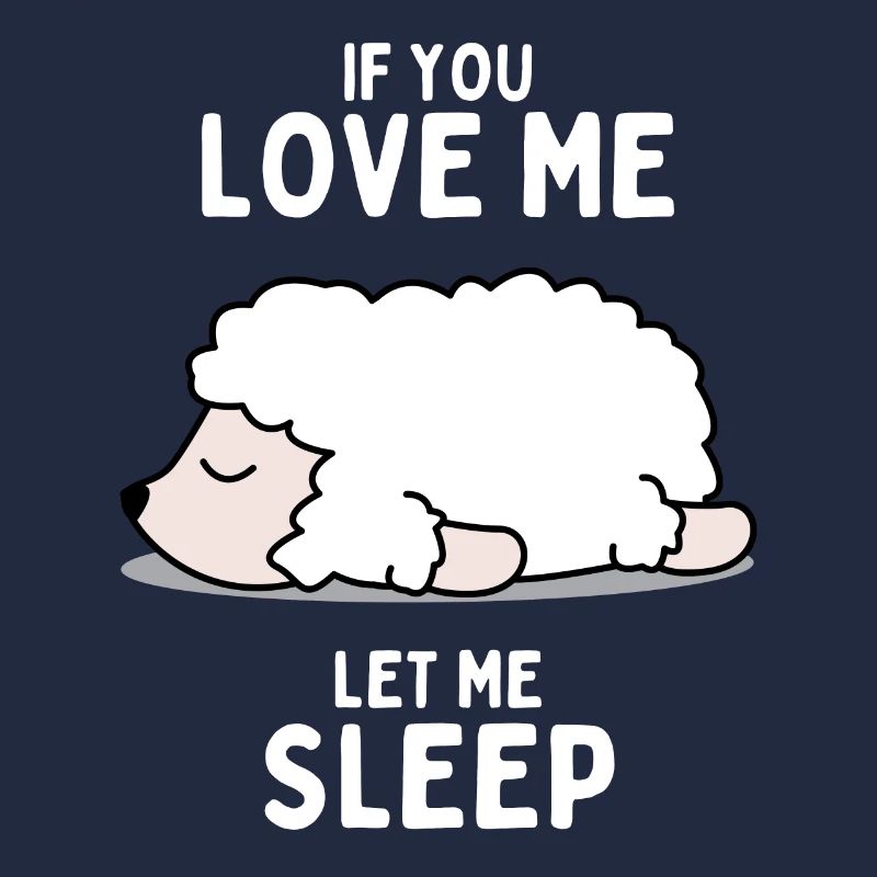 Sleeping Sheep Funny Gift