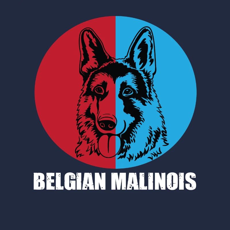 Malinois belge