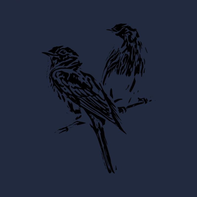 Oiseaux