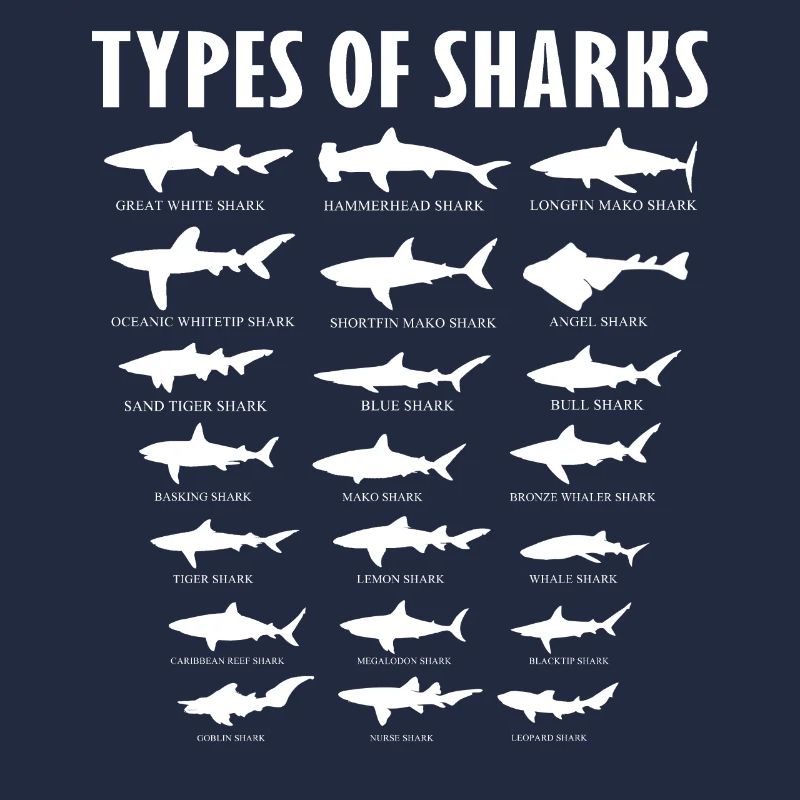 types de requins