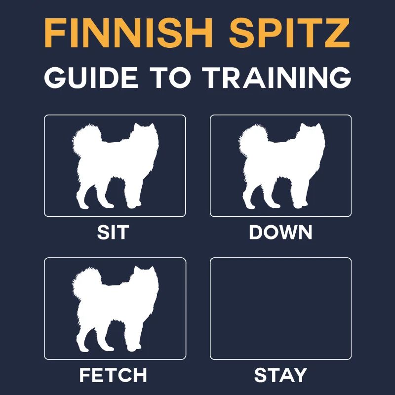Finnish Spitz Guide To Training