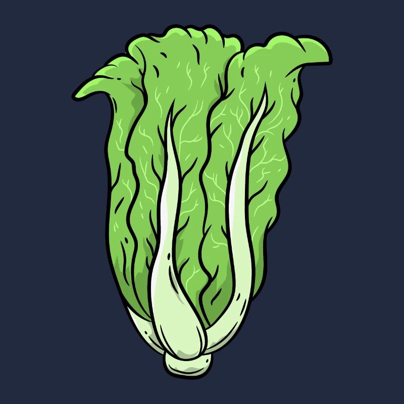 Cabbage Vegetables