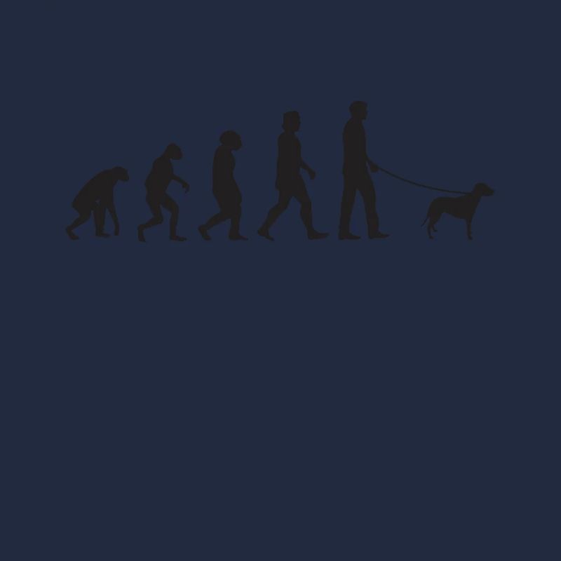 Brandlbracke Evolution Bracke chien de chasse