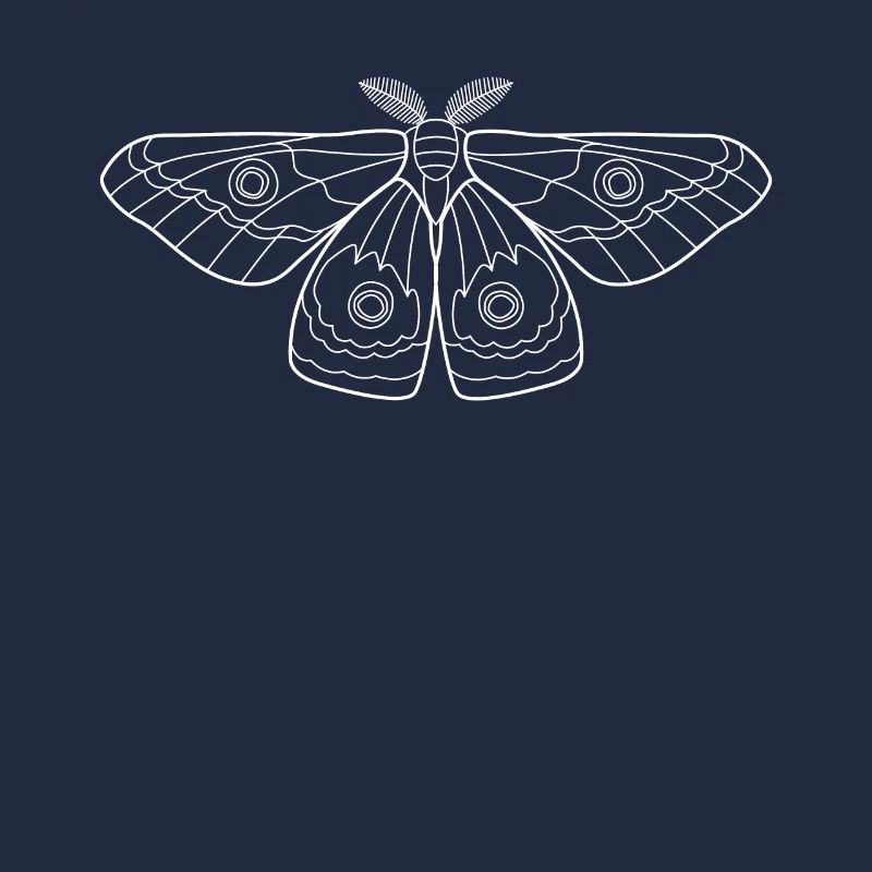 Moth Moth Butterfly Insects Gift