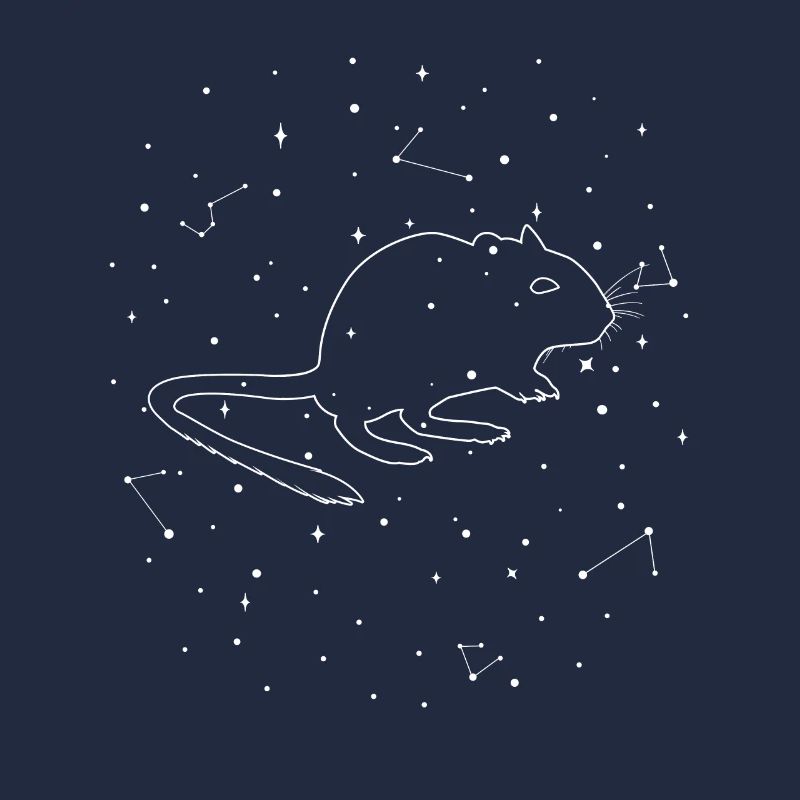 Constellation Degu Constellation Bush Rat Common