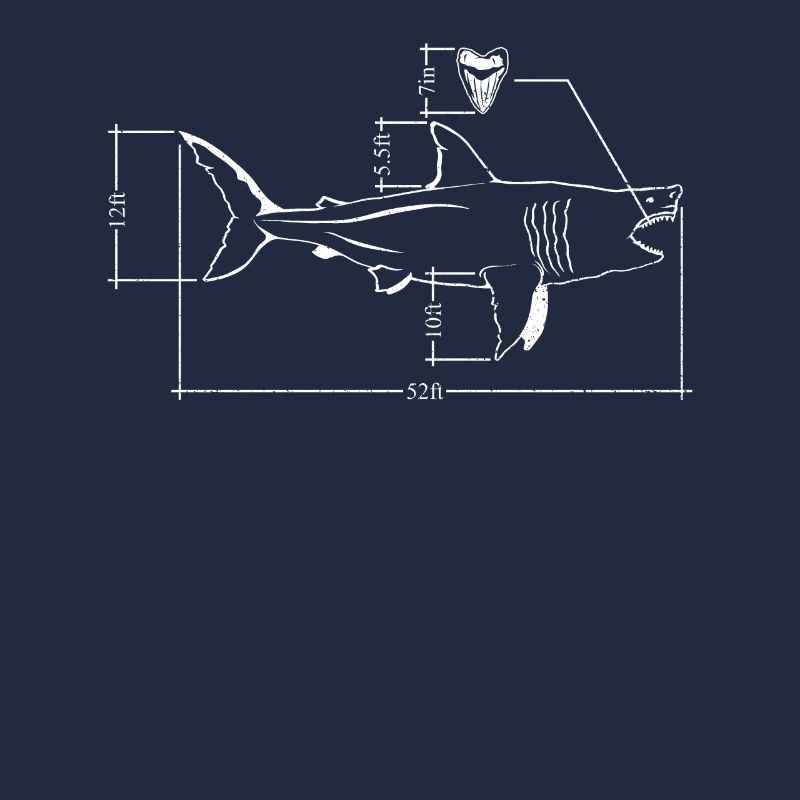 Megalodon Faits Requin Requin