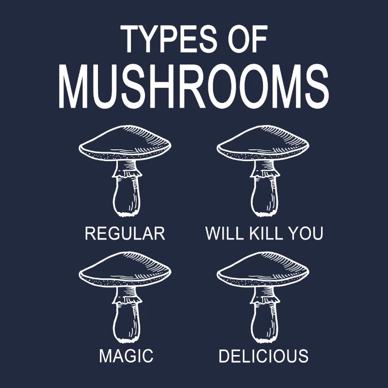 Types de champignons Champignons Champignons Cueillette de champignons