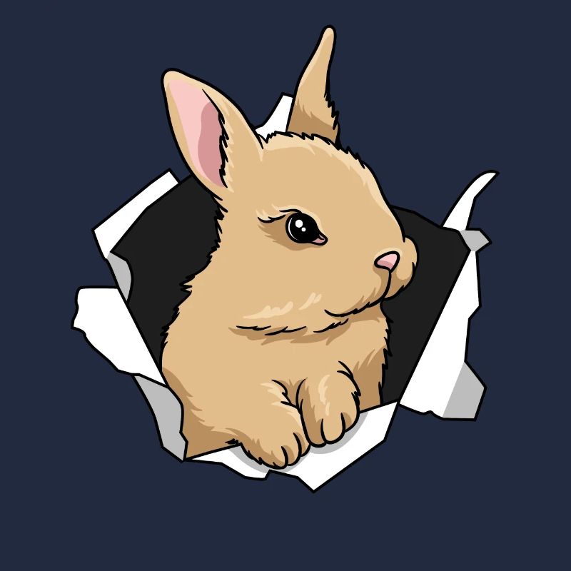 Rabbit Rabbit Crack Rabbit Animal Rabbit Breakthrough