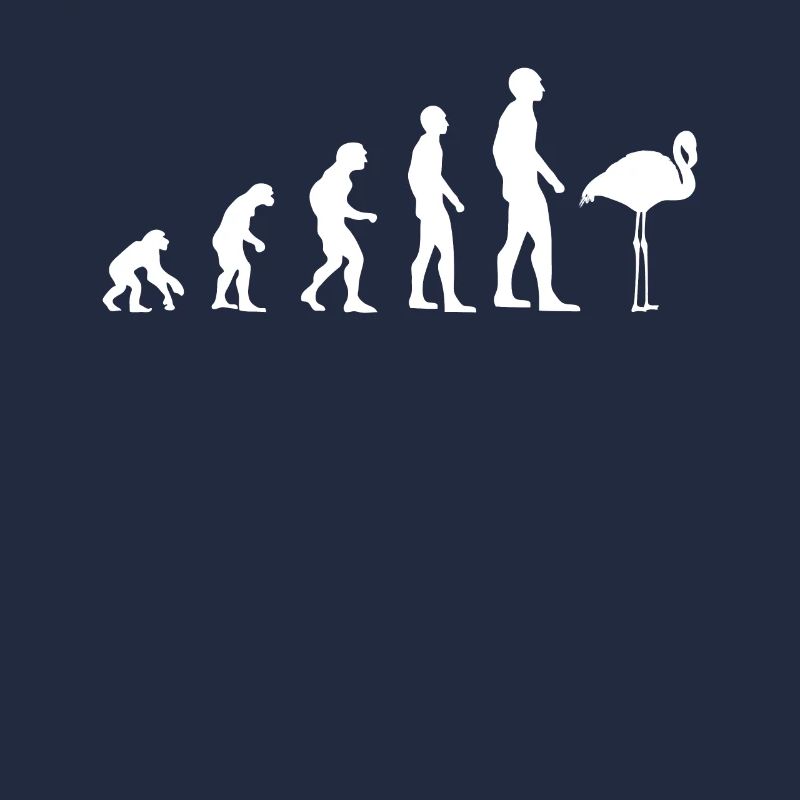 Flamingo Vogel Süß Zoo Tier Evolution Geschenk