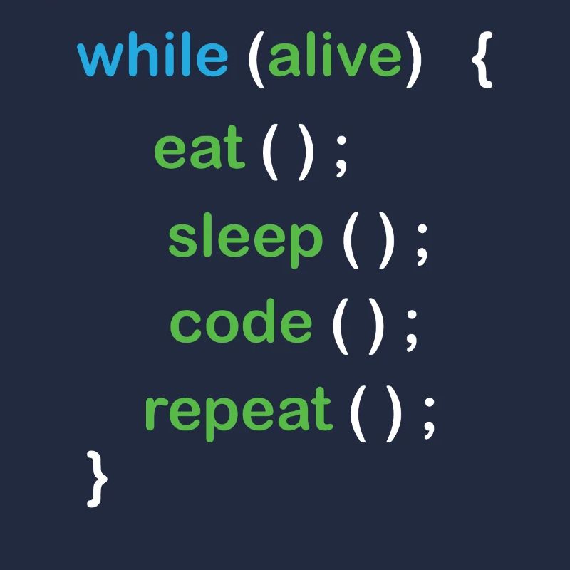Développeur de logiciels de codage Python