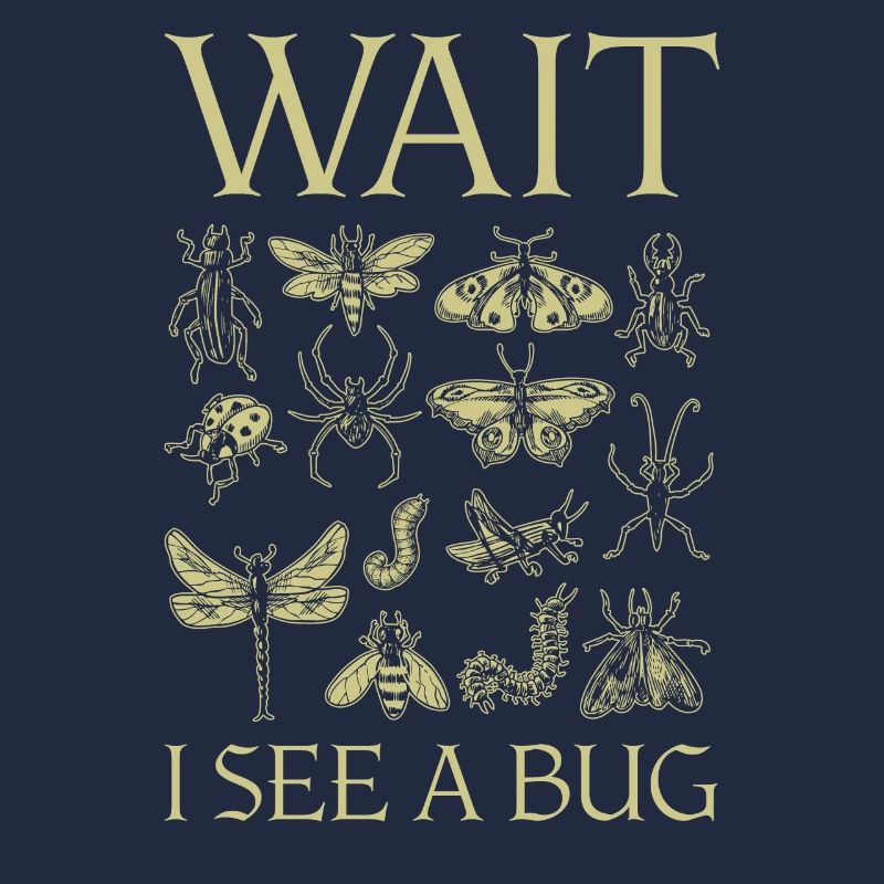 Wait I See A Bug Insects And Bug Lovers