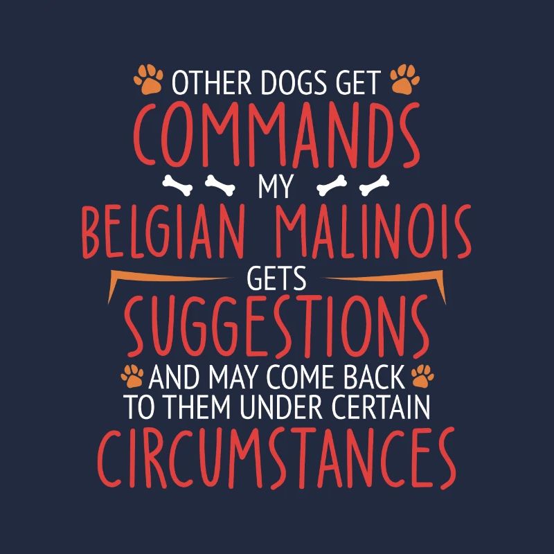 Malinois belge commande Berger belge