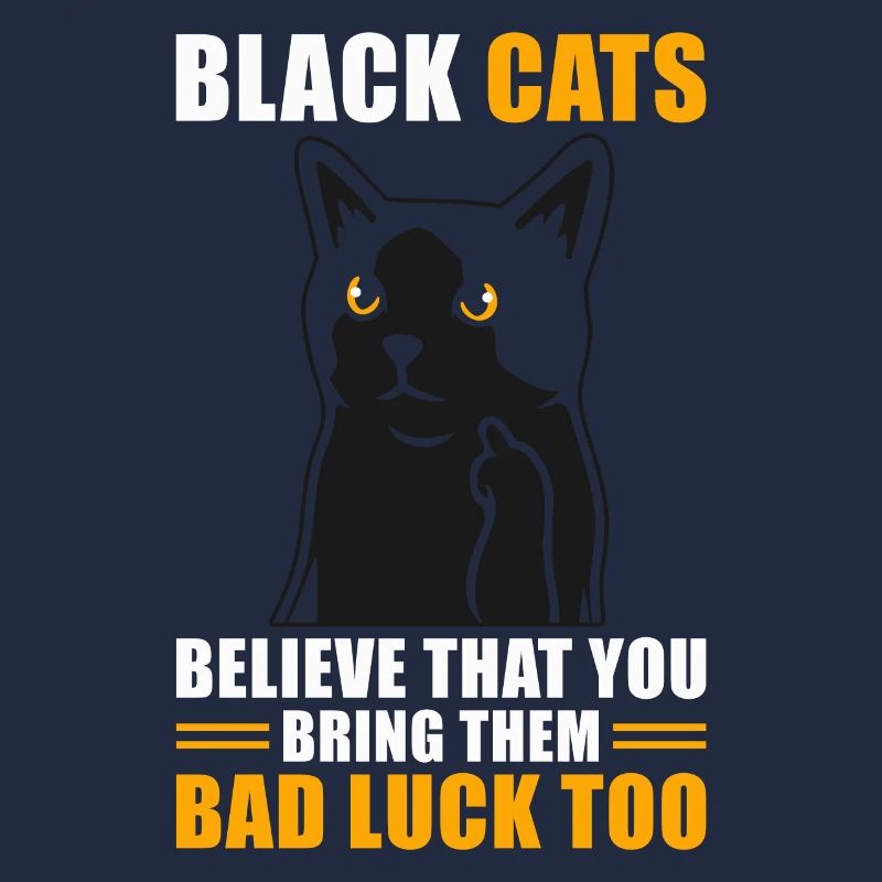 Superstition Chat Noir