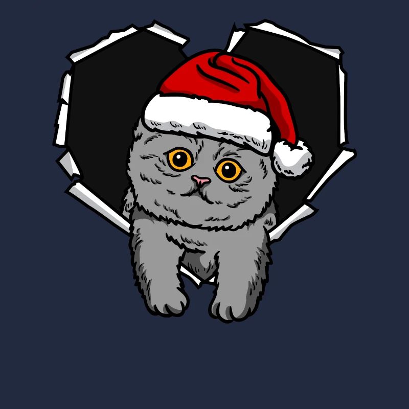 Bouchon de Noël de chat craqué déchiré