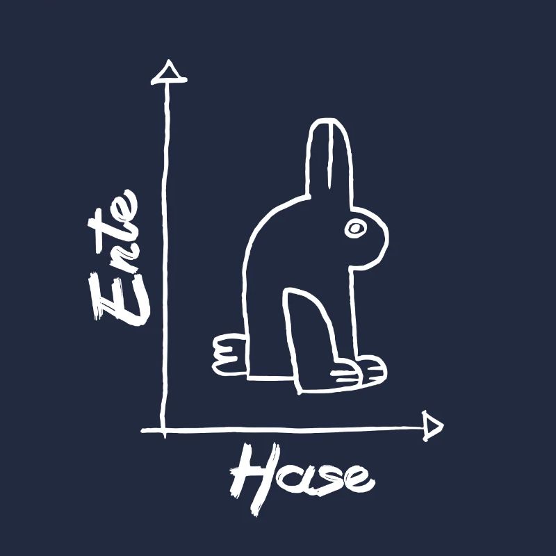 Math Canard Lapin Cours de Mathématiques Fun