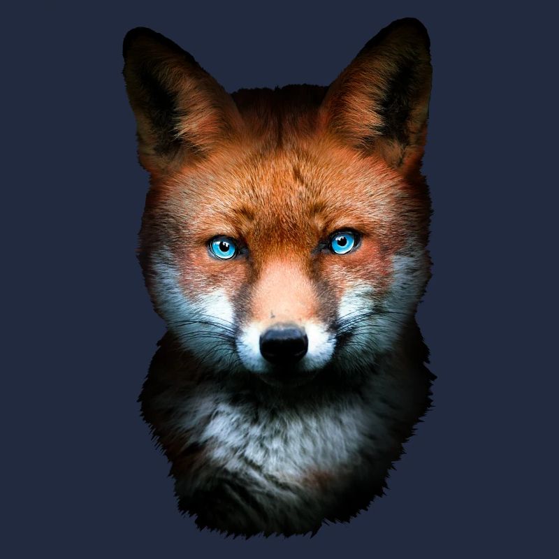 Fuchs Blaue Augen Geschenk Opa Waldtiere Rotfuchs