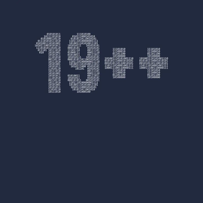 19++ Programmeur Ingénieur logiciel Codeur 20e