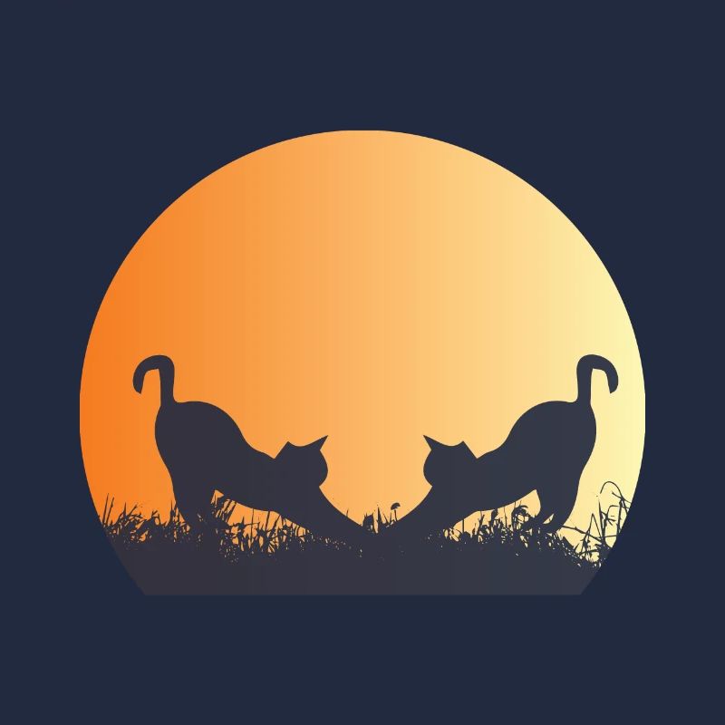 Katze - Ich bin nicht sozial unbeholfen, ich mag es einfach wirklich