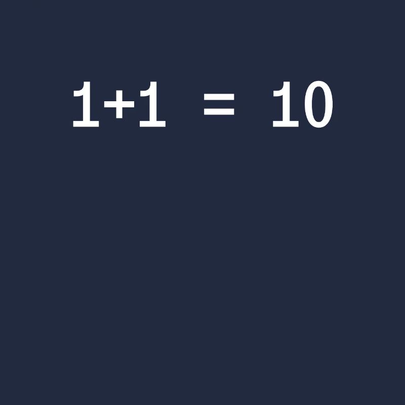 1 + 1 = 10 Funny Programmer Computer Science