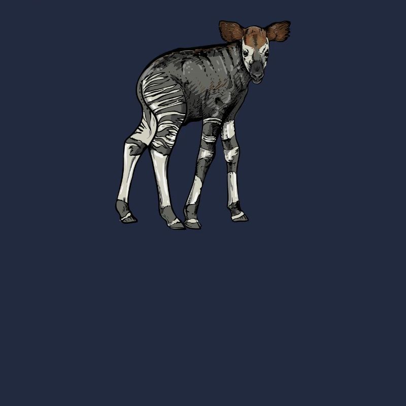 Okapi I Girafe de la forêt tropicale pour