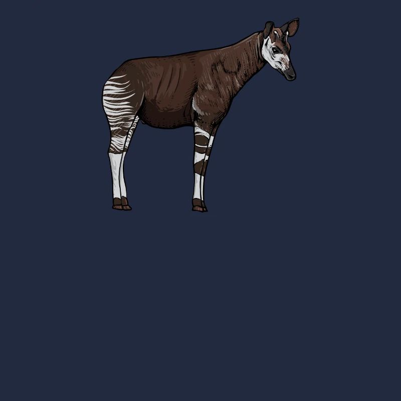 Okapi I girafe de la forêt tropicale pour