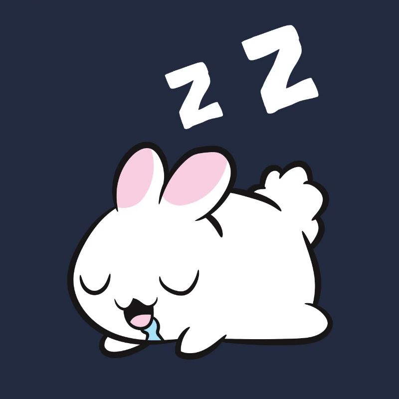 Sleeping Rabbit Sleeping Pajama Rabbit