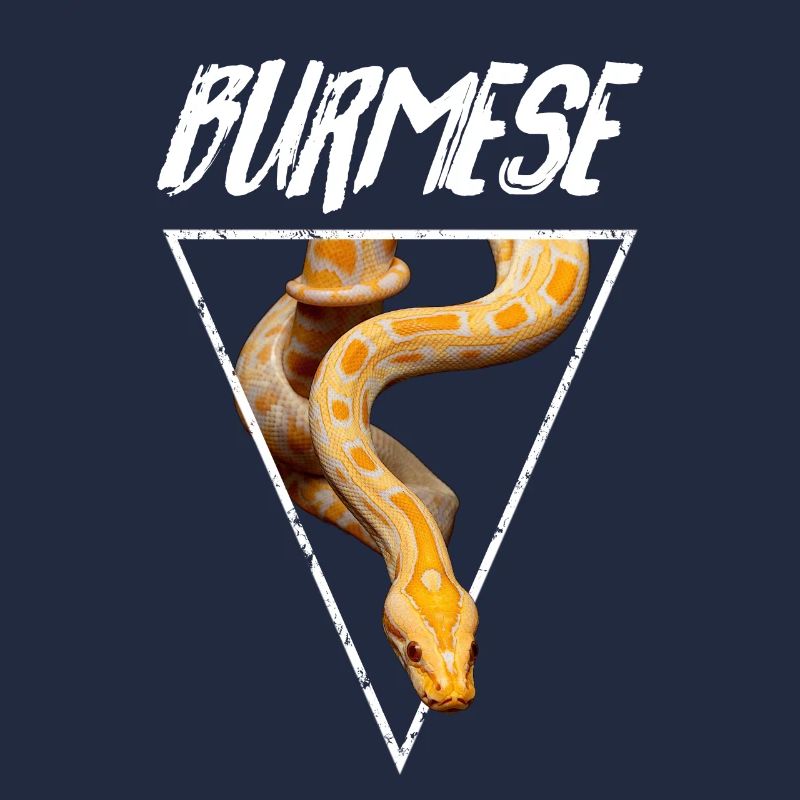 Propriétaire de serpent Python birman