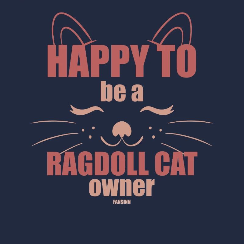 Ragdoll Cat Cat Lovers Chatons Chatons