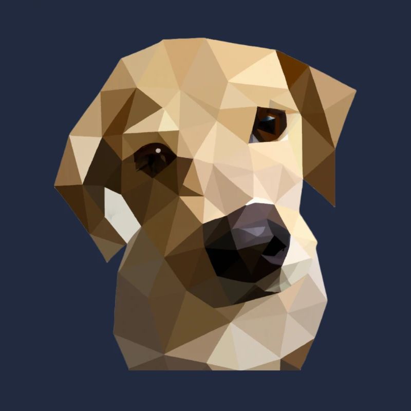 Low Poly Labrador Chien