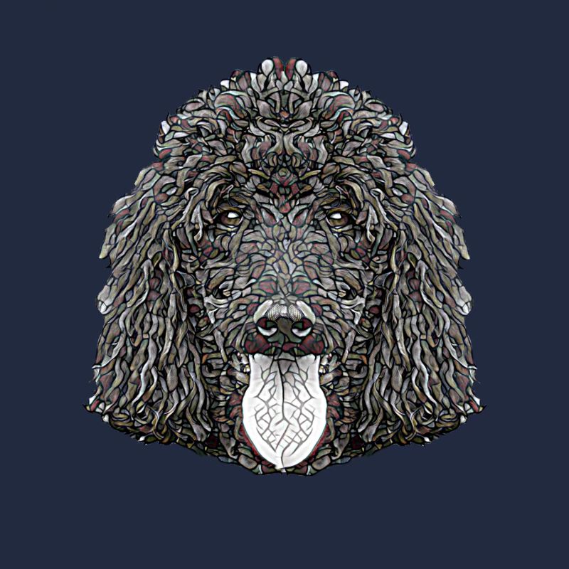 Standard Poodle Face