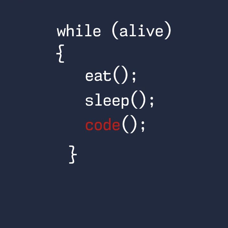 Administrateur Coding Geek Programmeur