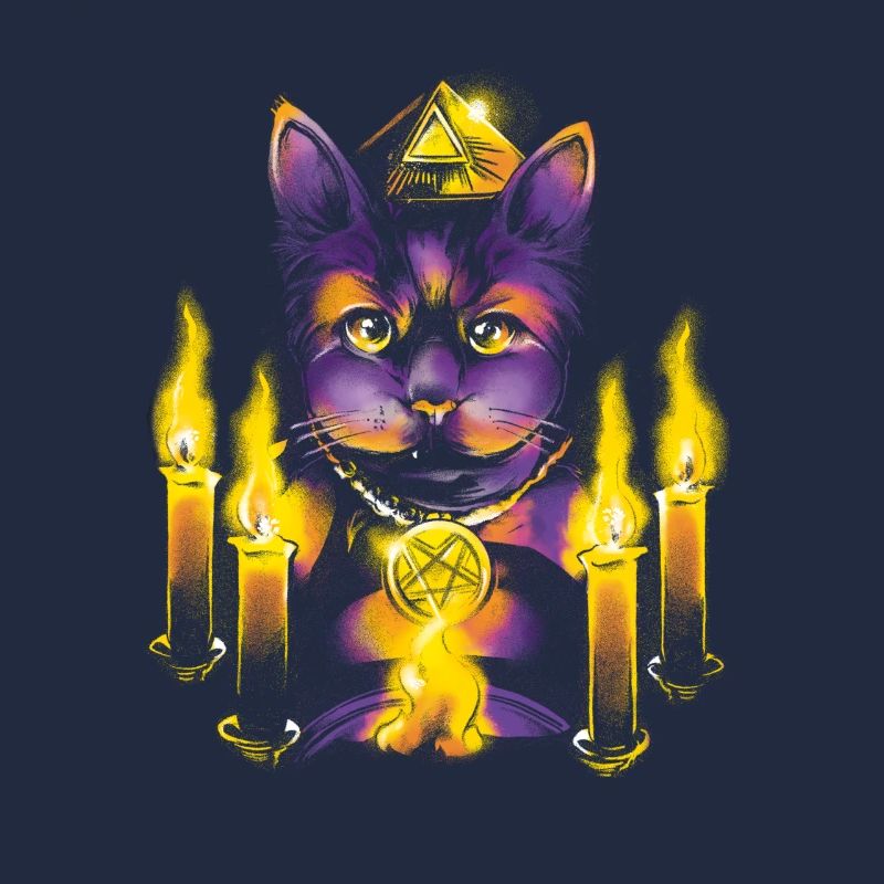Magic cat
