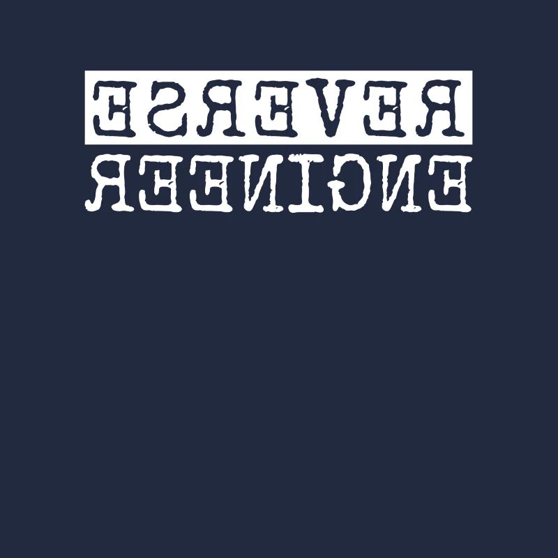 Reverse Engineer Softwareingenieur Developer