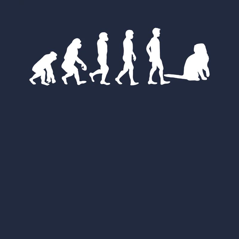 Scottish Fold Scottish Fold Evolution