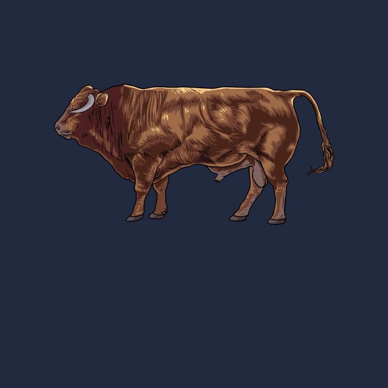 Zeichnung eines Limousin Rind