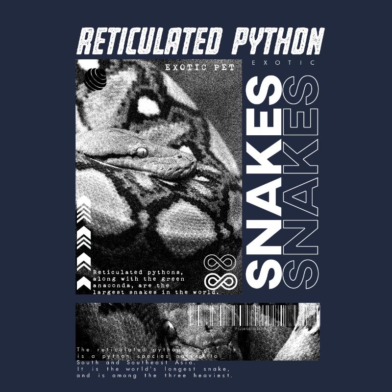 Gardien de reptiles streetwear en python réticulé