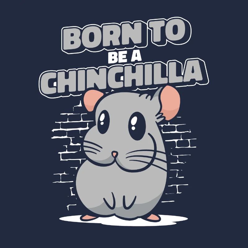 Né pour être un chinchilla à queue courte longue queue