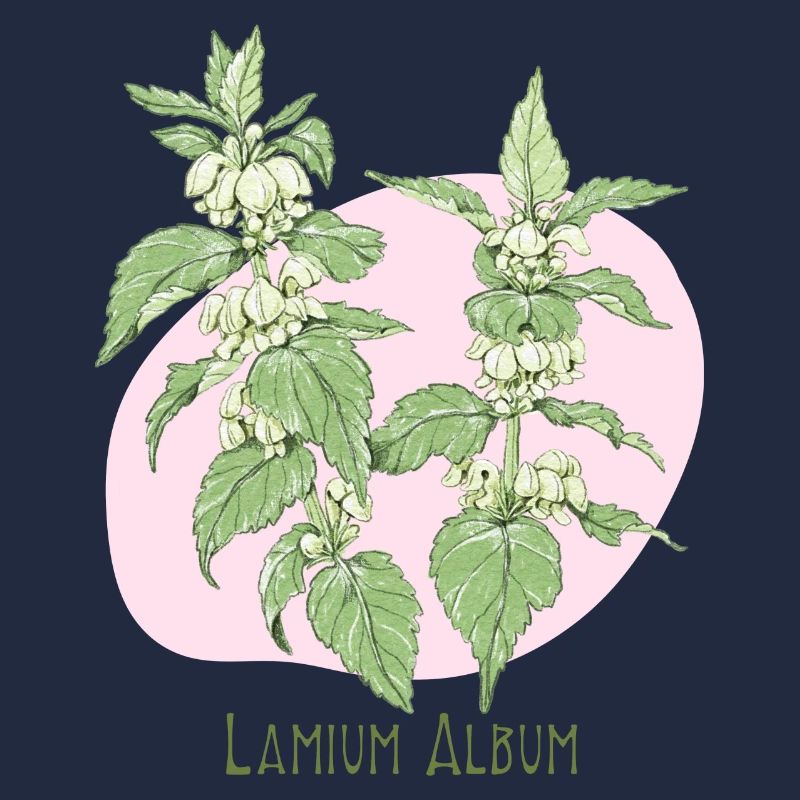 Light white botanical drawing