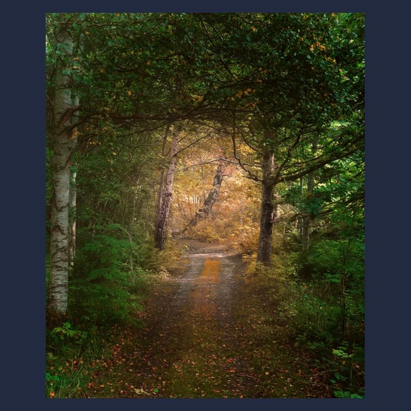 Forêt