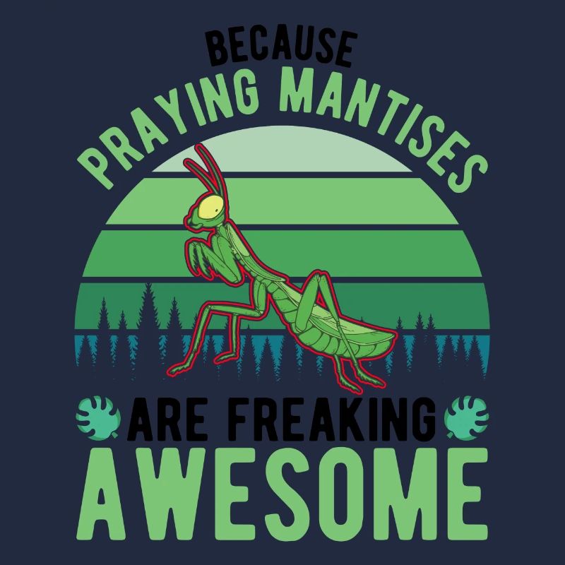 Gottesanbeterin Fangschrecke Mantis