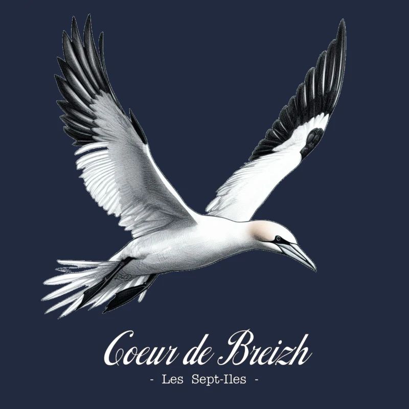Basstölpel - Herz von Breizh