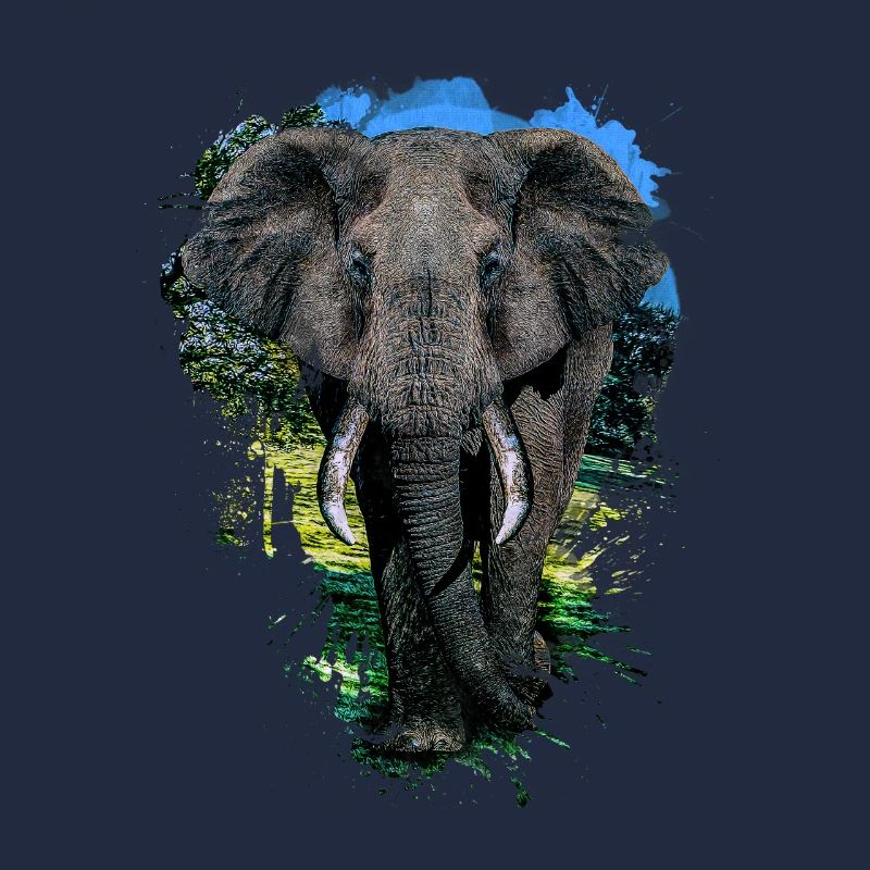 Elephant Head Animal Proboscis Elephant