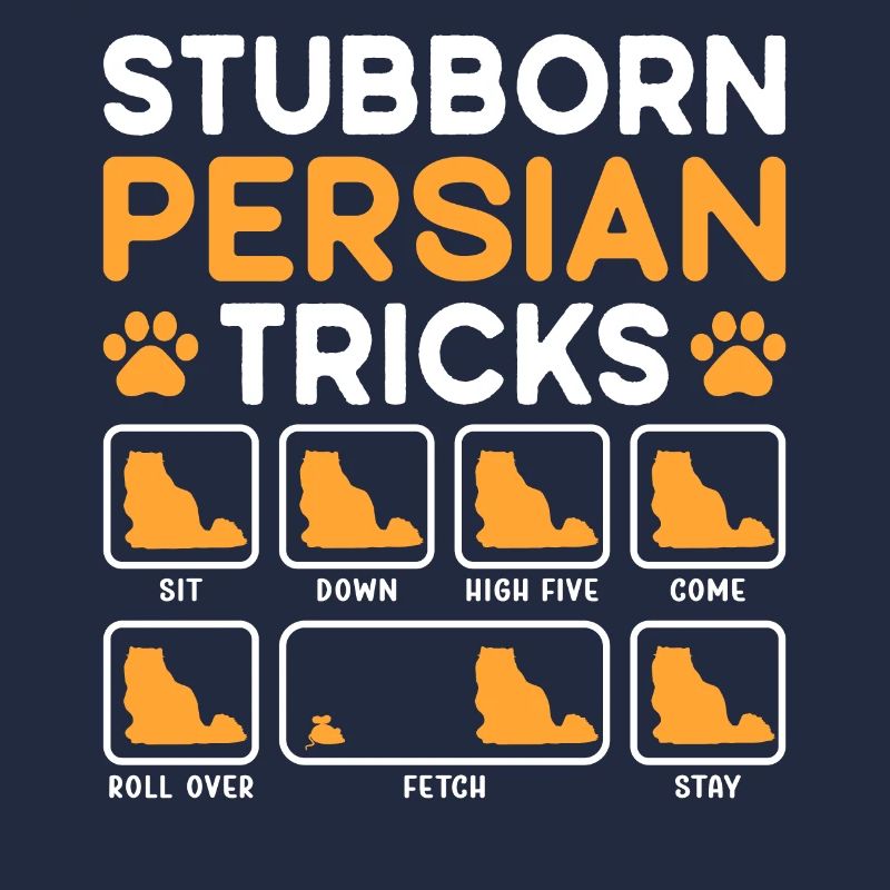 Tricks têtus Chat persan