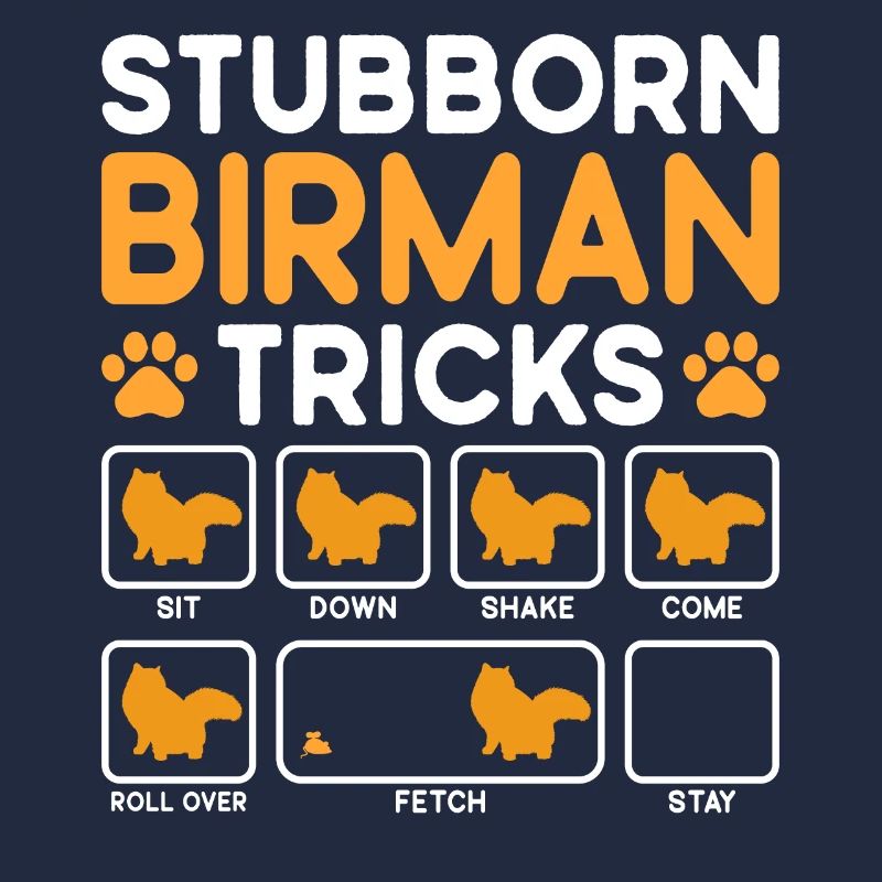 Stubborn Tricks Birman Cat