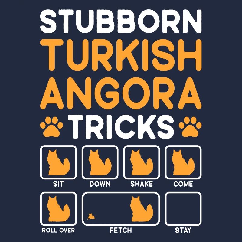 Tricks Têtus Chat Angora Turc