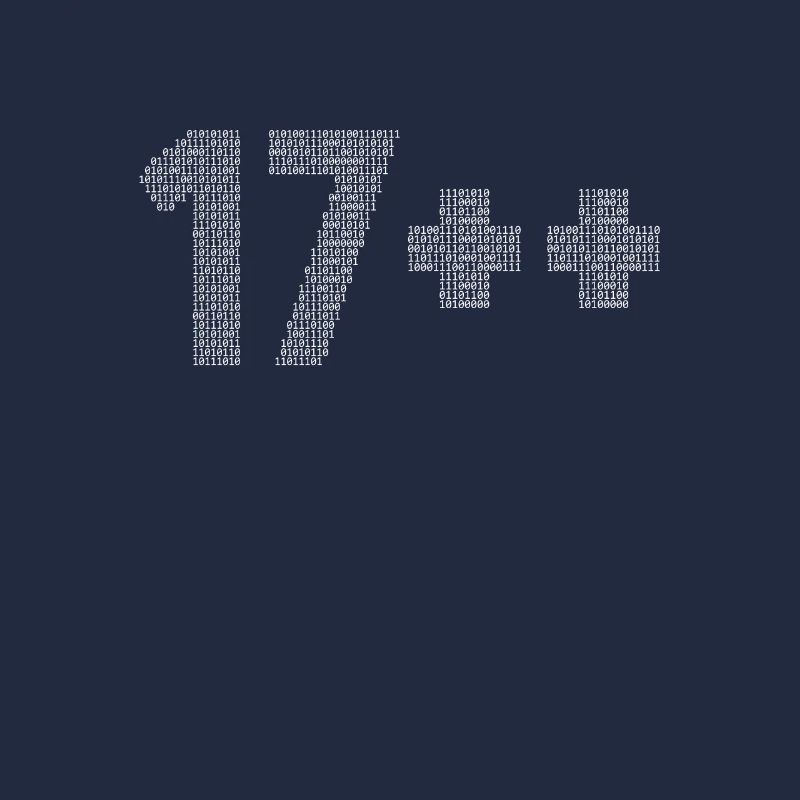 17++ Programmeur Développeur Codeur 18e anniversaire